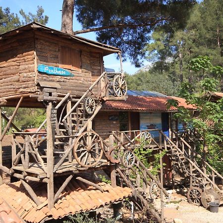 Kadir'S Top Tree Houses Olympos Buitenkant foto