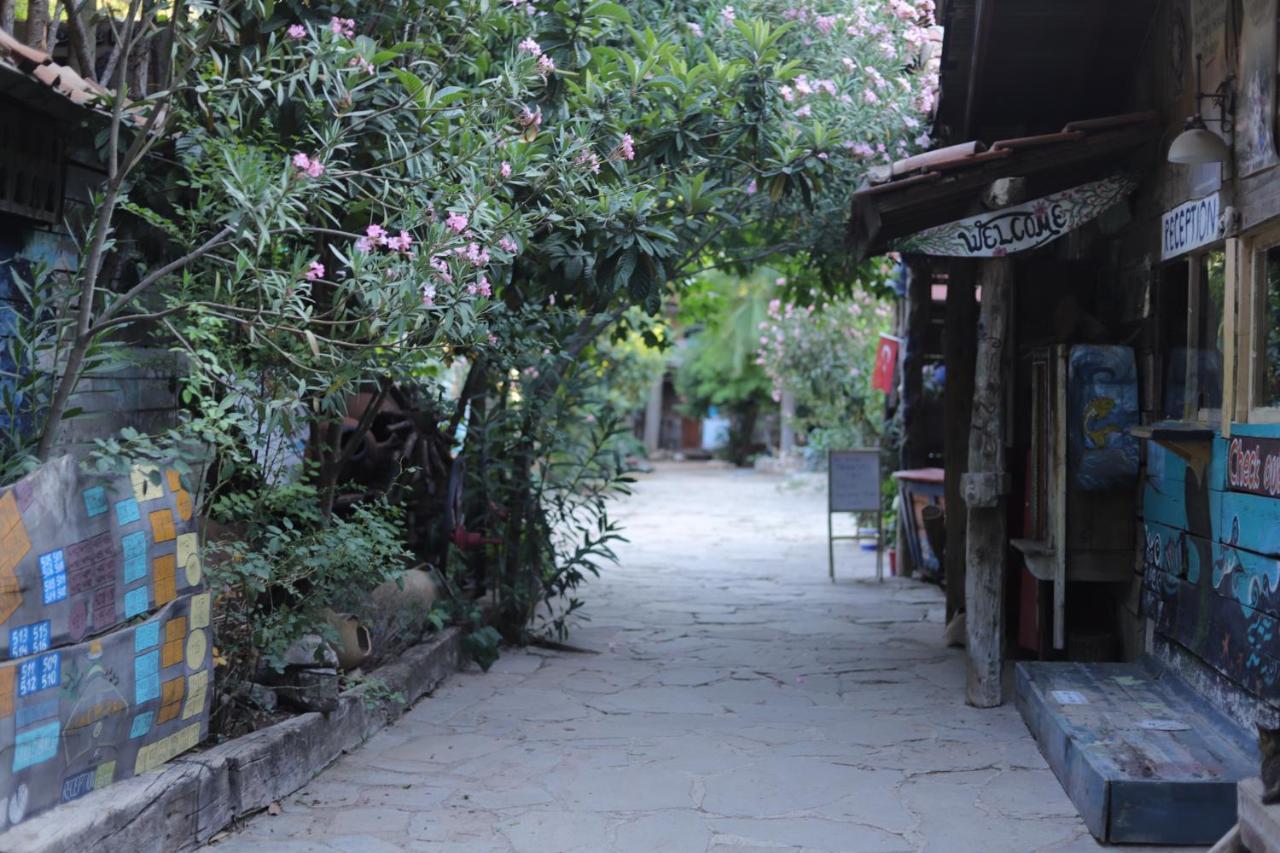 Kadir'S Top Tree Houses Olympos Buitenkant foto