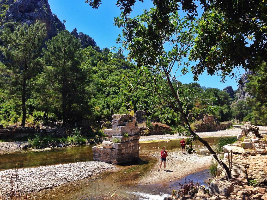 Kadir'S Top Tree Houses Olympos Buitenkant foto