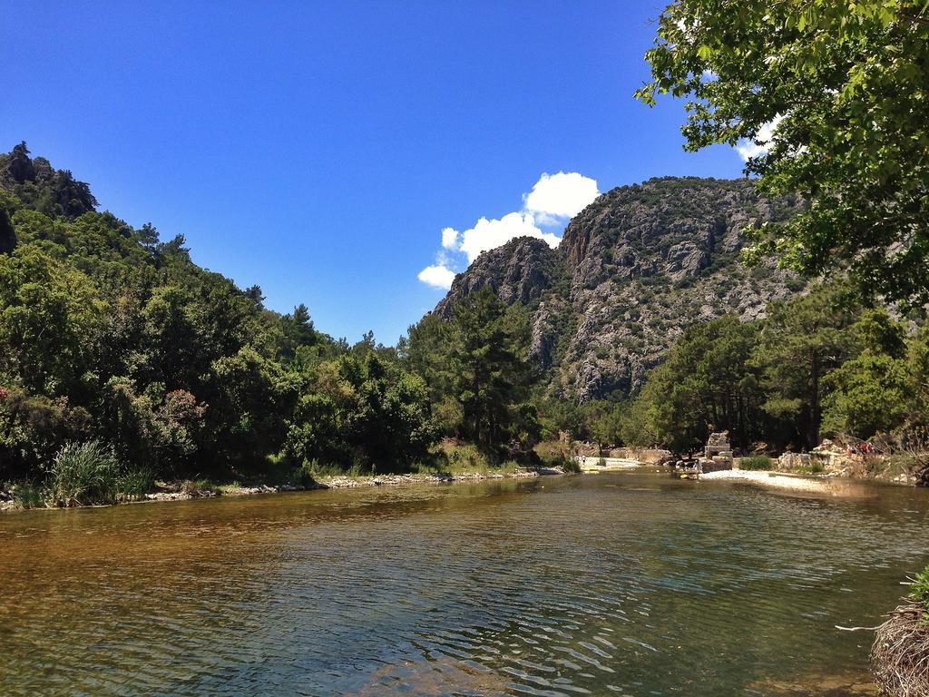 Kadir'S Top Tree Houses Olympos Buitenkant foto