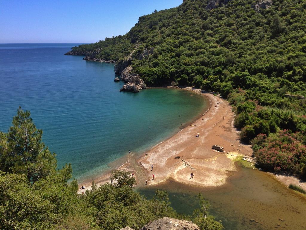 Kadir'S Top Tree Houses Olympos Buitenkant foto