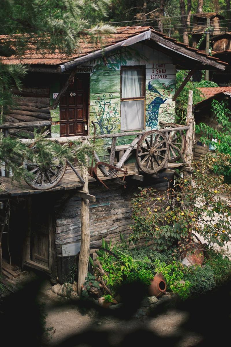 Kadir'S Top Tree Houses Olympos Buitenkant foto