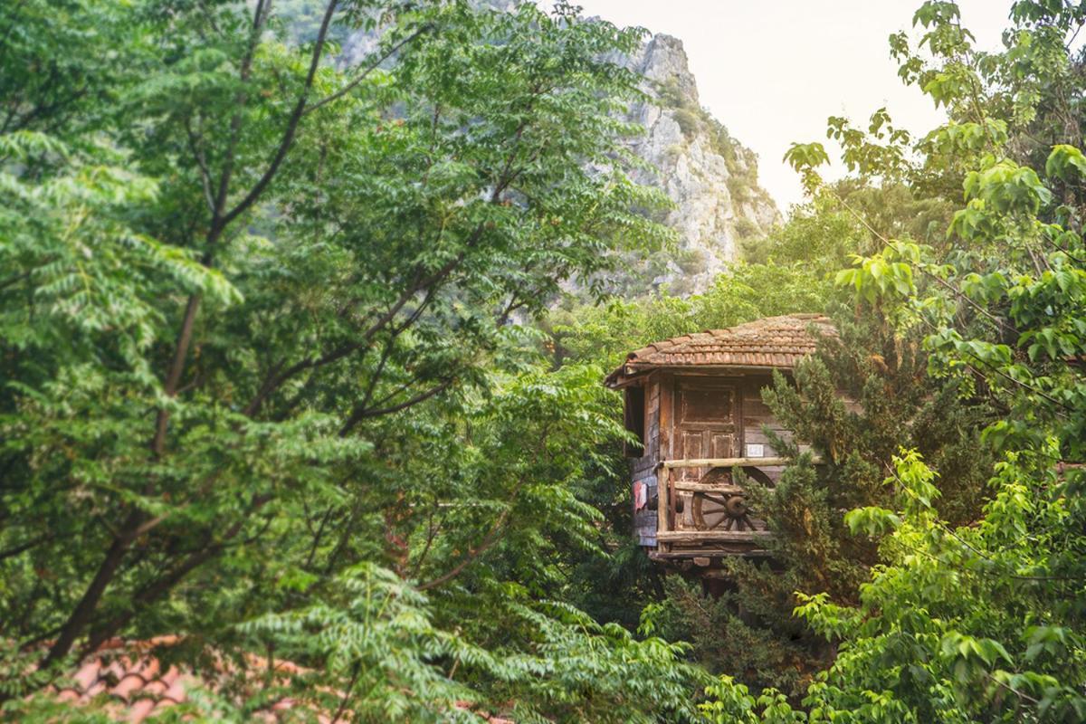 Kadir'S Top Tree Houses Olympos Buitenkant foto