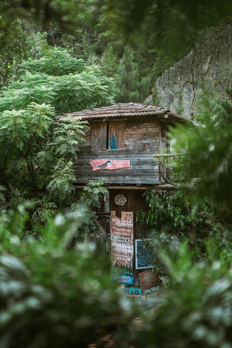 Kadir'S Top Tree Houses Olympos Buitenkant foto