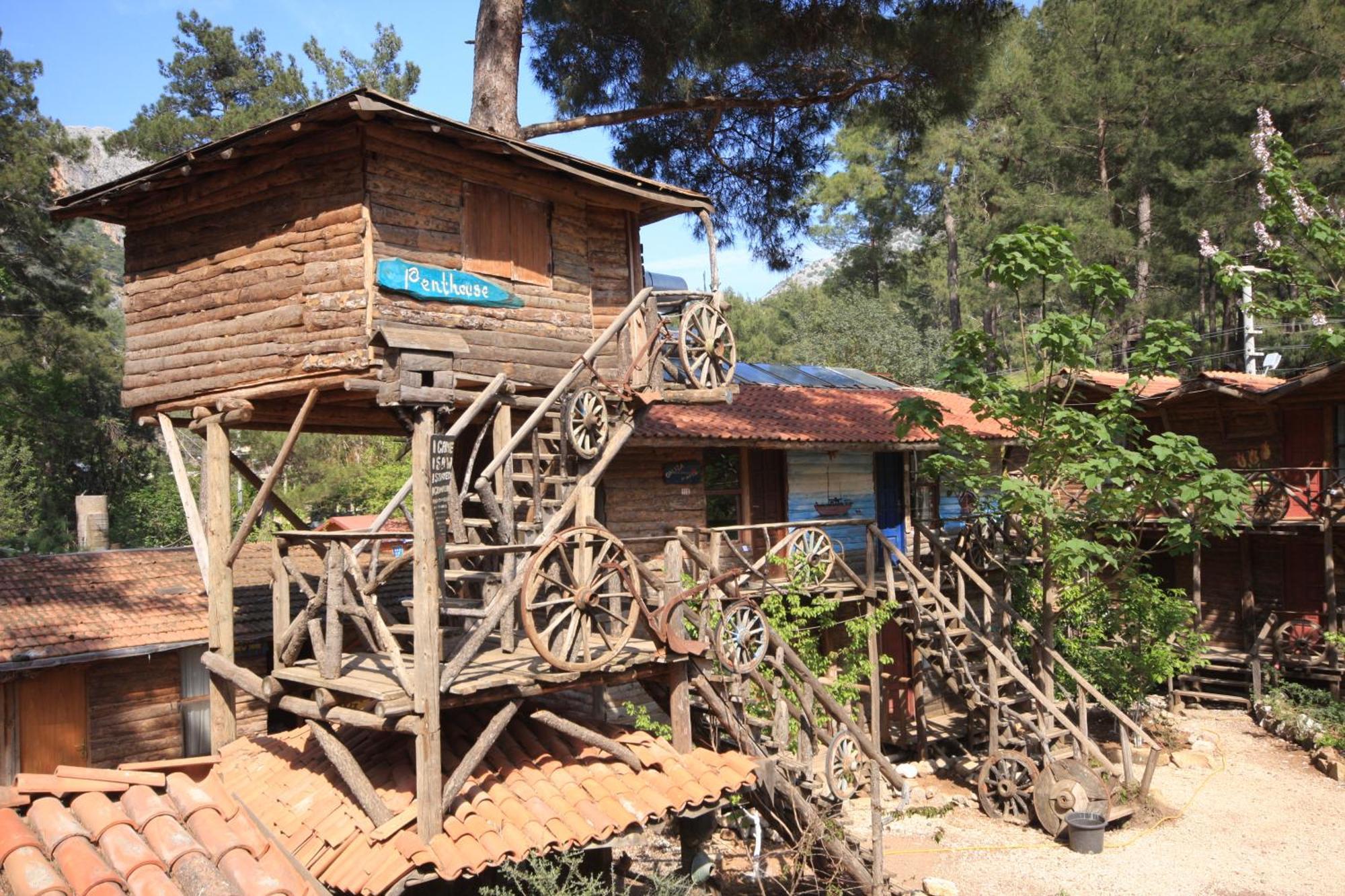 Kadir'S Top Tree Houses Olympos Buitenkant foto