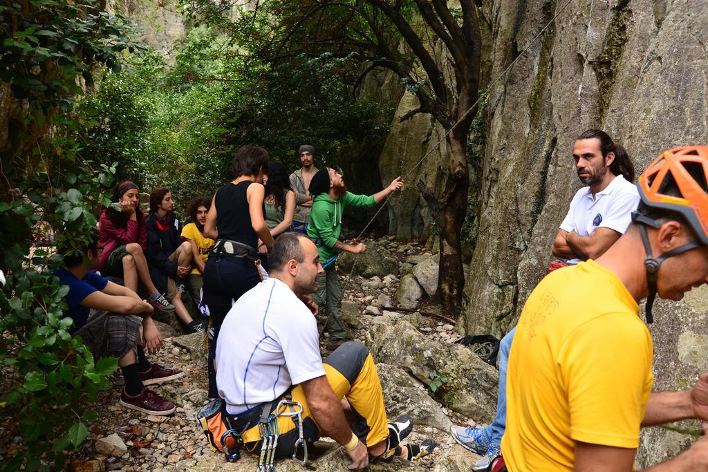 Kadir'S Top Tree Houses Olympos Buitenkant foto