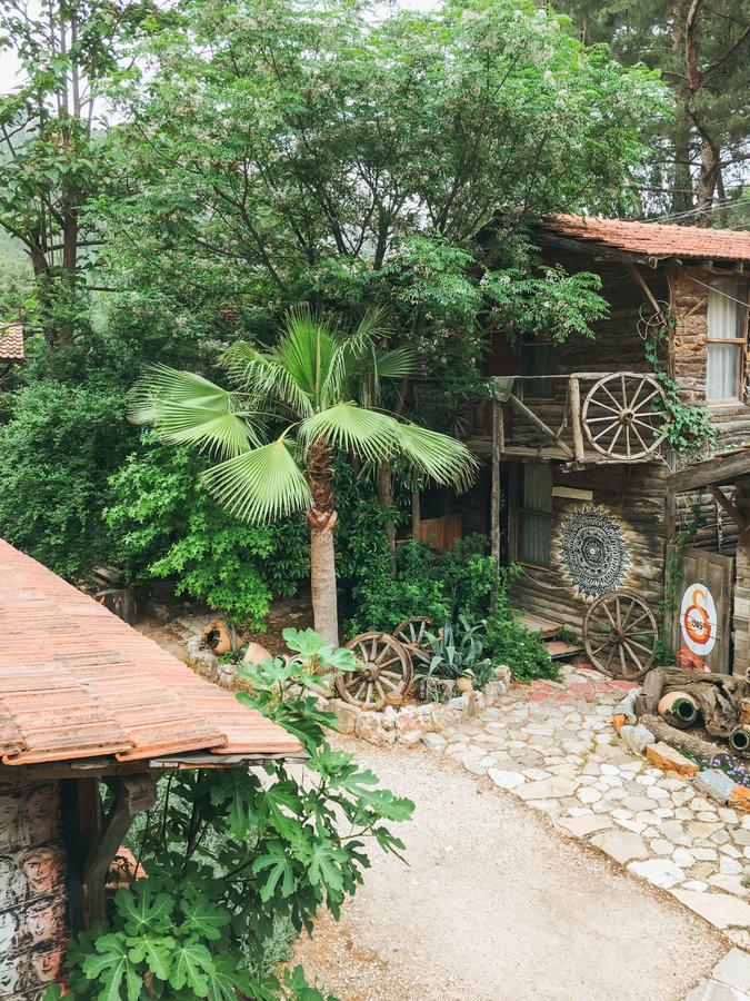 Kadir'S Top Tree Houses Olympos Buitenkant foto