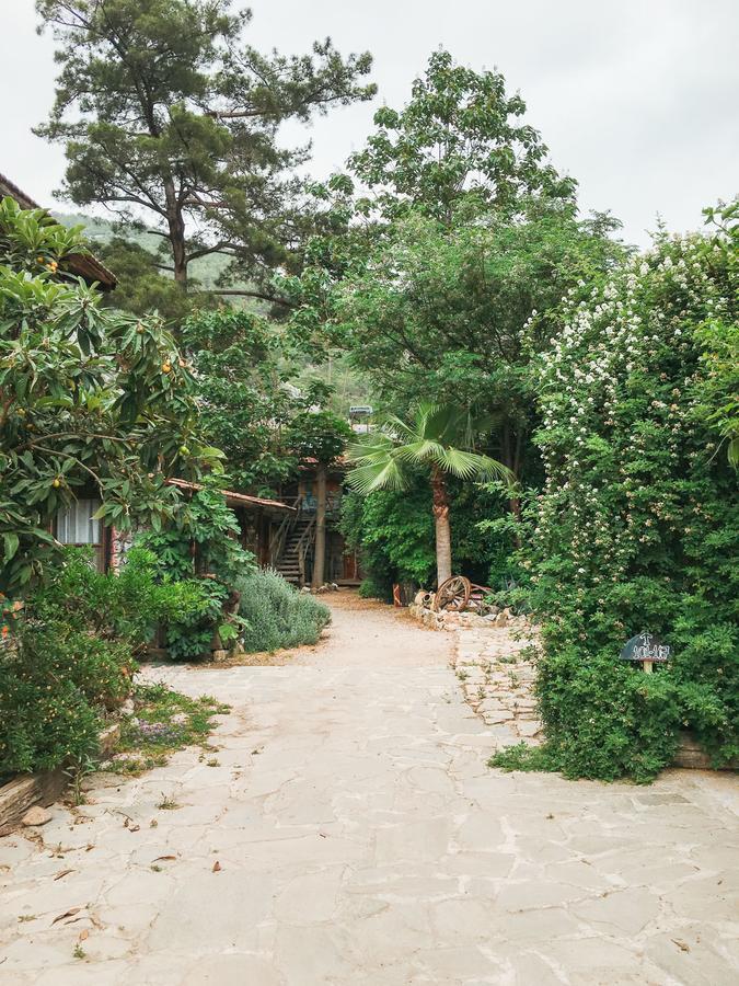 Kadir'S Top Tree Houses Olympos Buitenkant foto