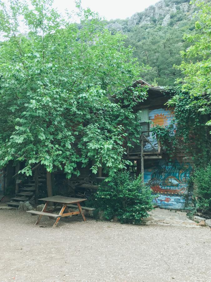 Kadir'S Top Tree Houses Olympos Buitenkant foto