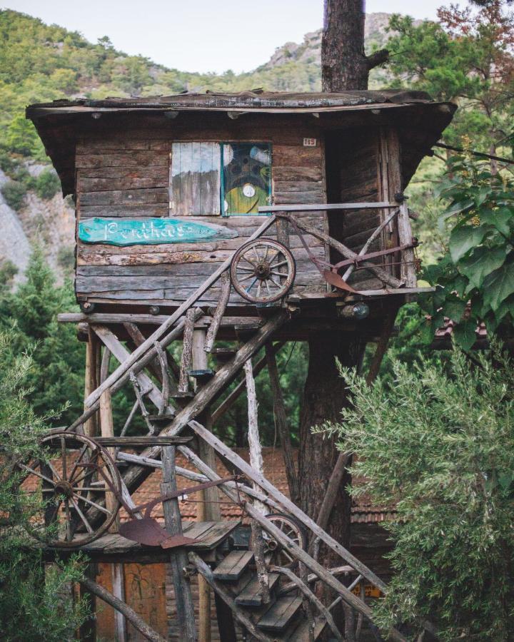 Kadir'S Top Tree Houses Olympos Buitenkant foto