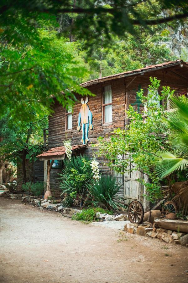 Kadir'S Top Tree Houses Olympos Buitenkant foto