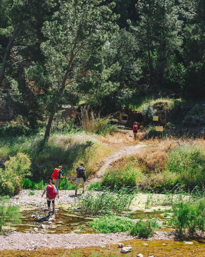 Kadir'S Top Tree Houses Olympos Buitenkant foto