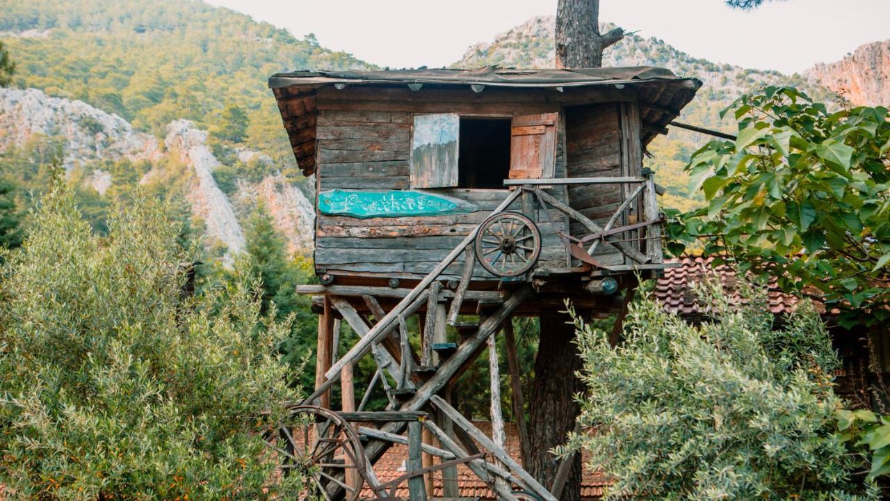 Kadir'S Top Tree Houses Olympos Buitenkant foto